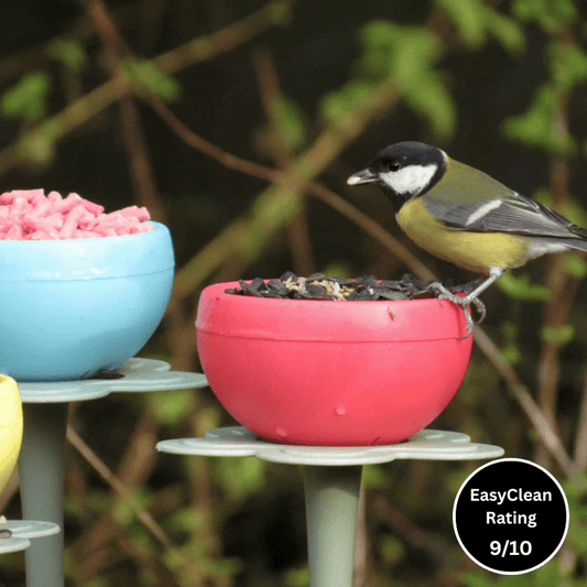 Seed and Mealworm POD (Pack of three) - Haith's UK