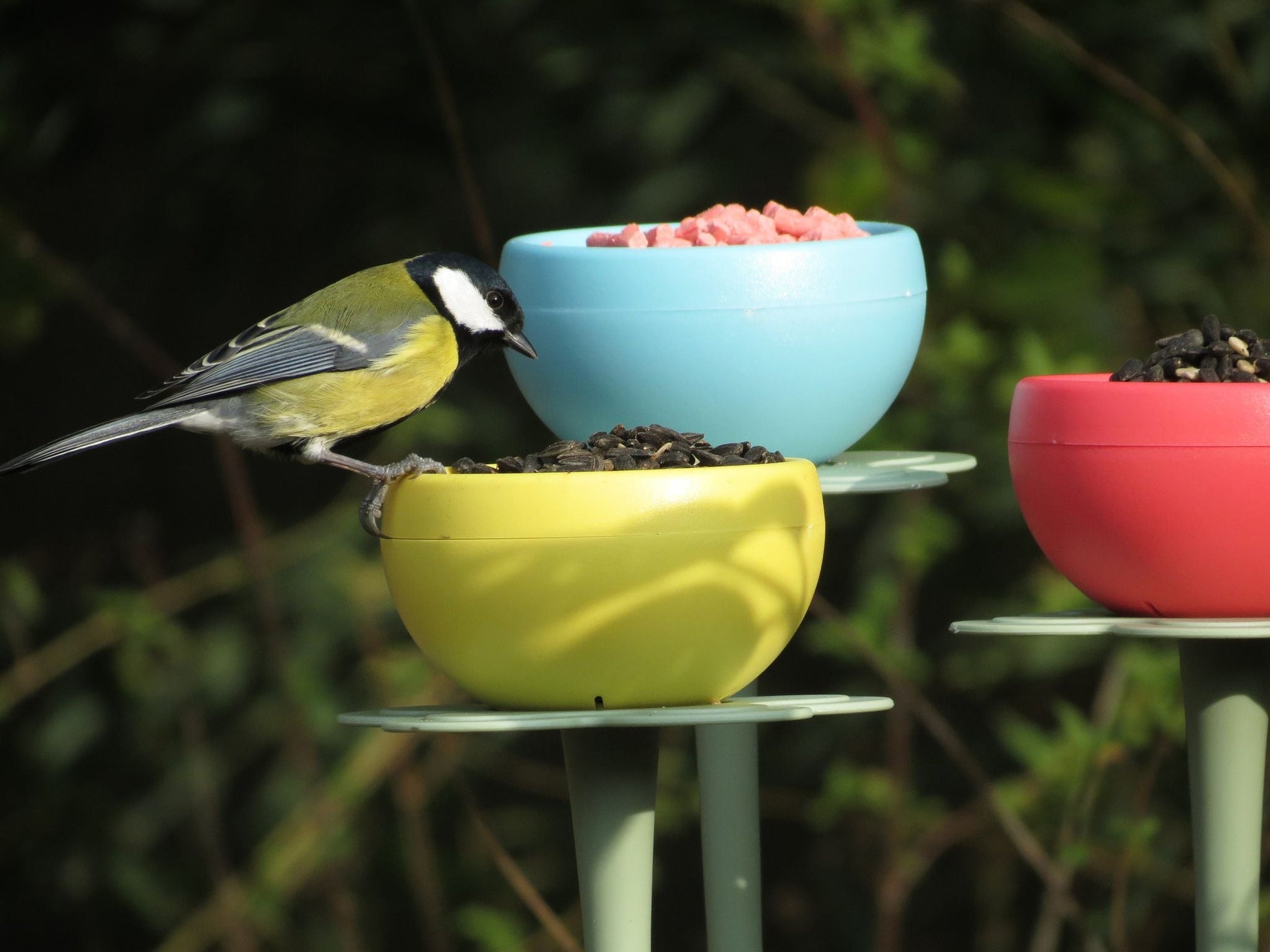 Seed and Mealworm POD (Pack of three) - Haith's UK