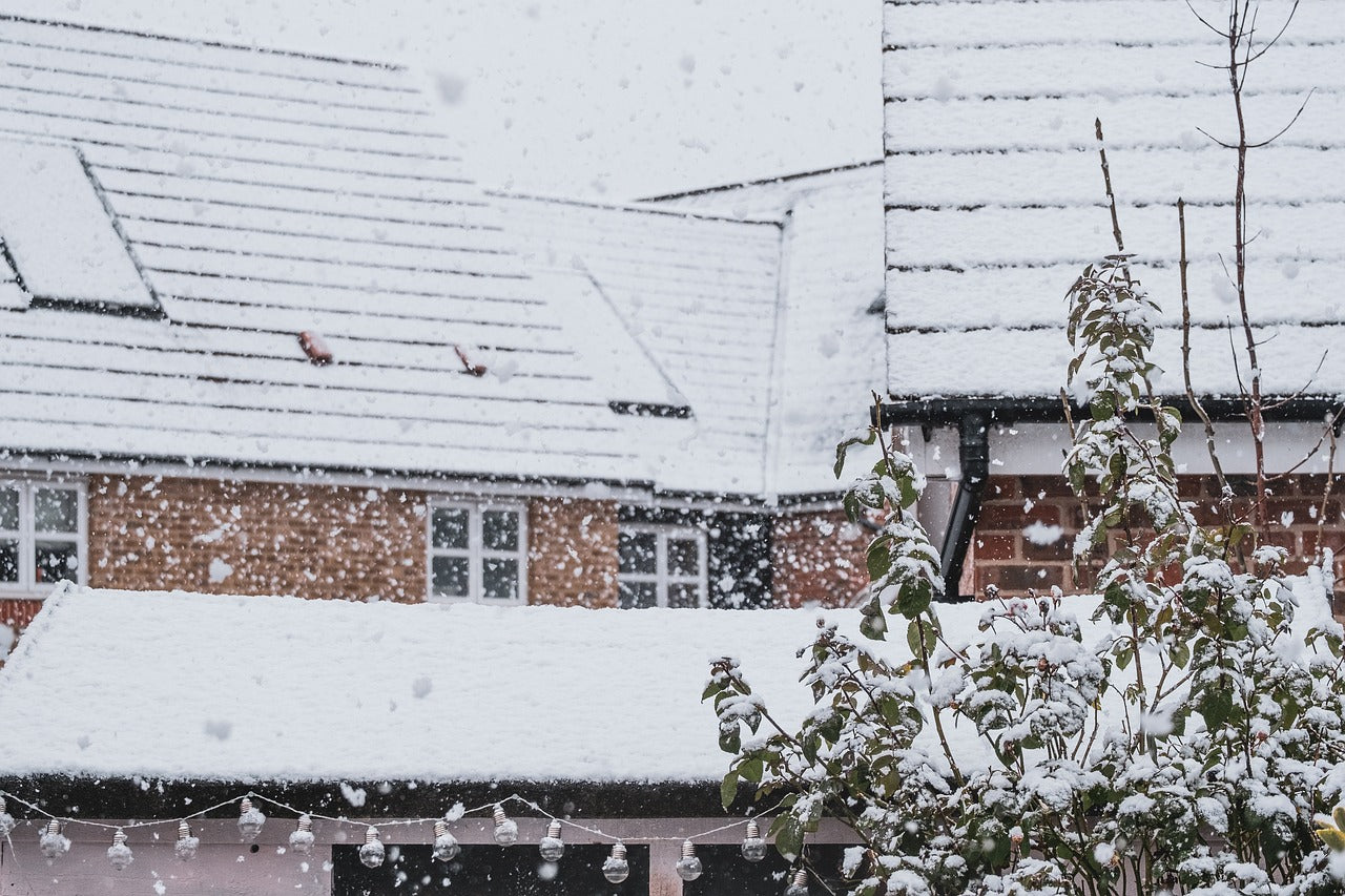 snow covering rooftops and trees