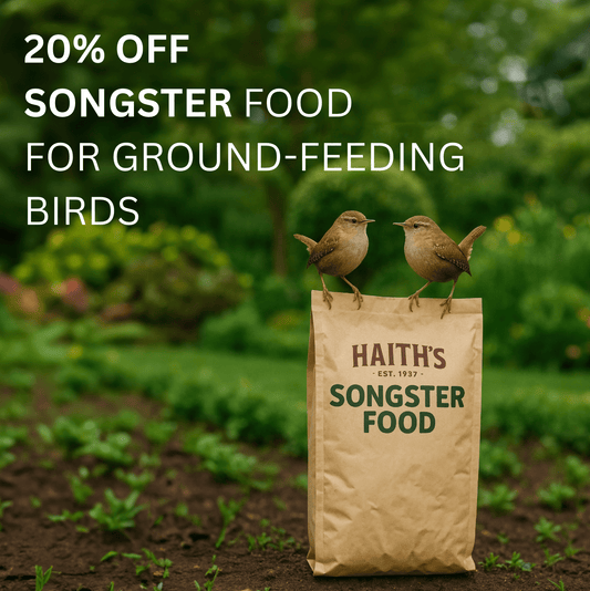 Songster Food for Ground - Feeding Birds - Haith's UK