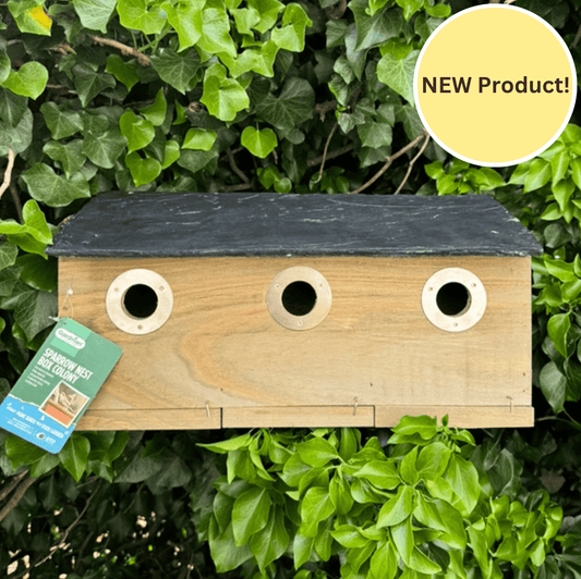 Sparrow Colony Nest Box - Haith's UK