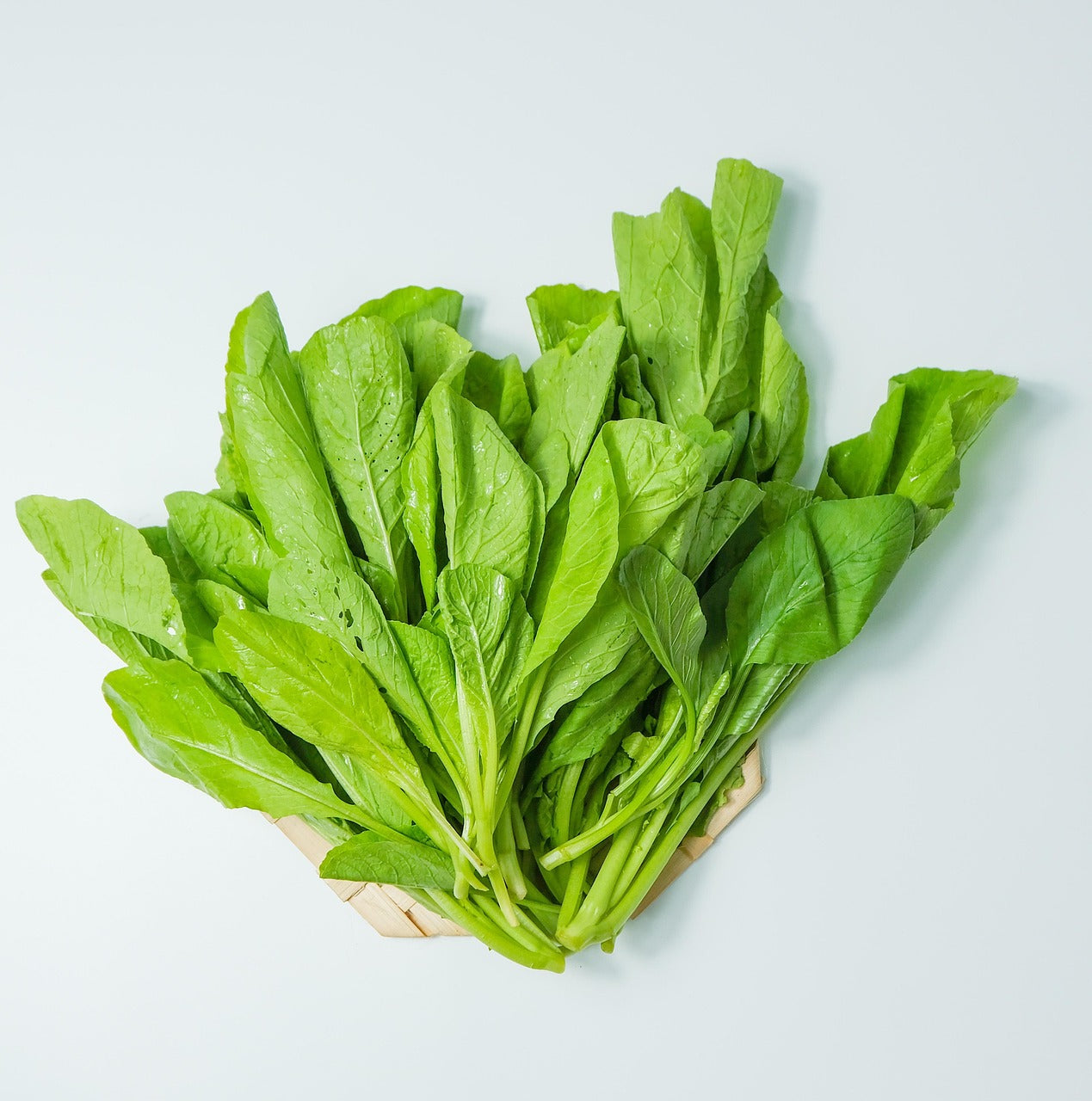 Bunch of green leafy vegetables on a light gray background