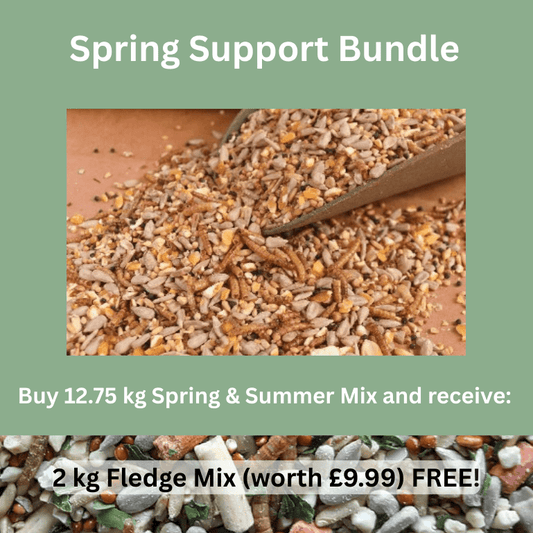 Spring & Summer Mix - Haith's UK