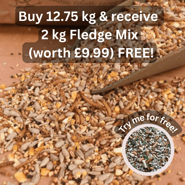 Spring & Summer Mix - Haith's UK