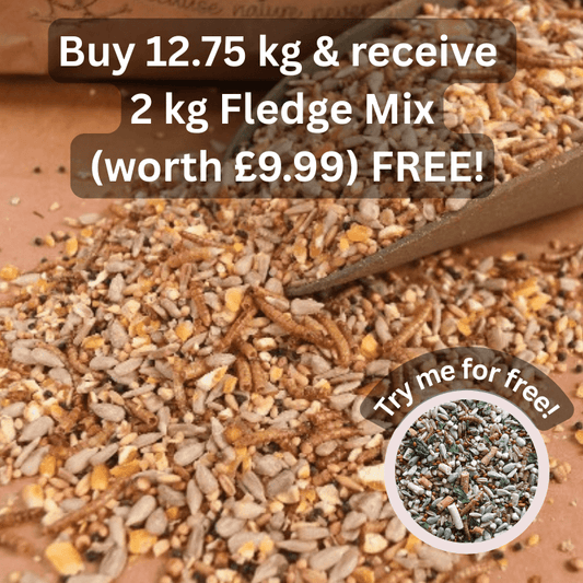 Spring & Summer Mix - Haith's UK