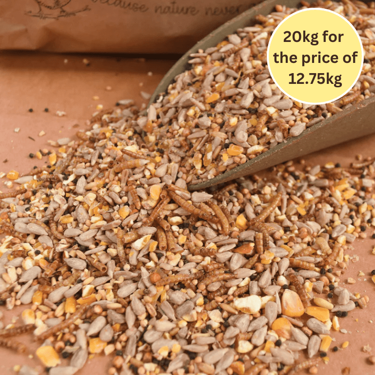 Wild Bird Food, Cage Bird Seed & Fishing – Haith's UK