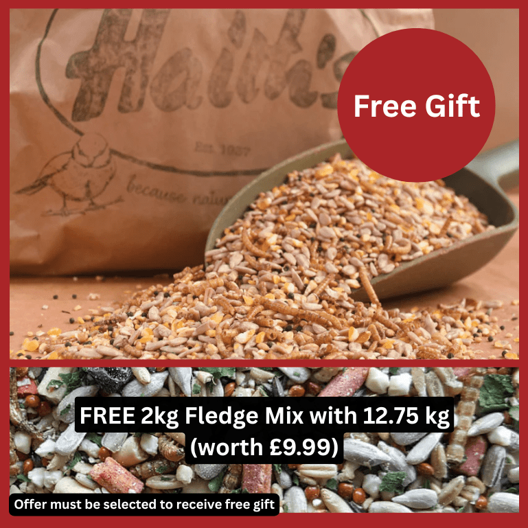 Spring & Summer Mix with Dried Mealworms - Haith's UK