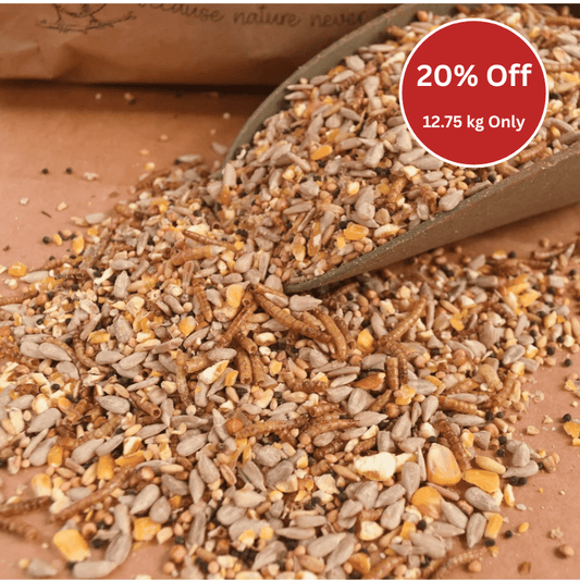 Spring & Summer Mix with Dried Mealworms - Haith's UK