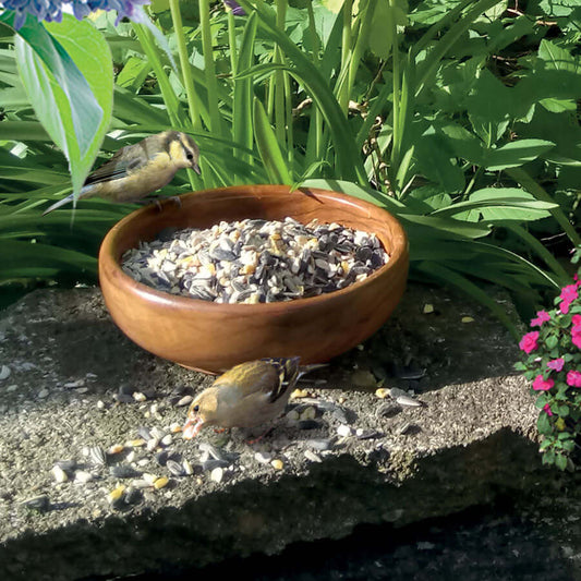 Spring - Summer Seed Mix getting eaten by a young Goldfinch