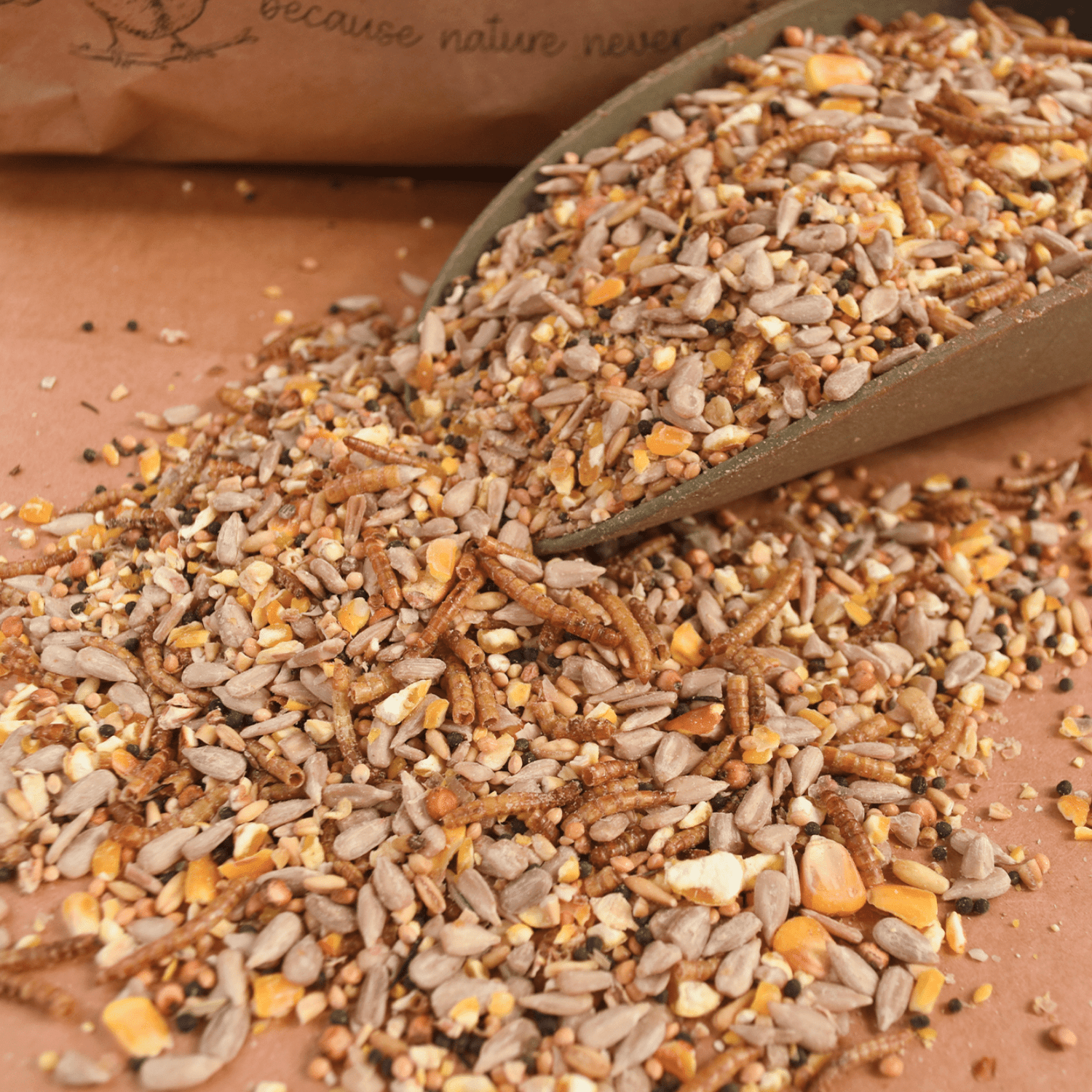 Will Birds Eat Sunflower Seeds from the Plant? Discover Truth!