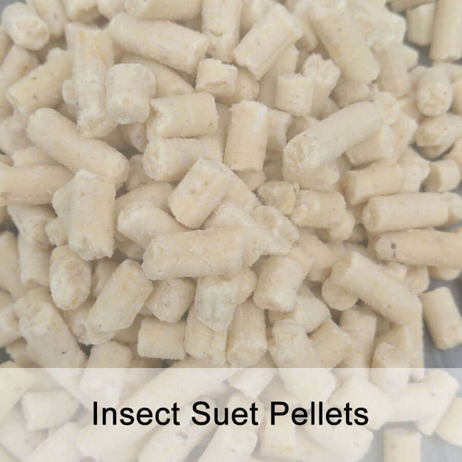 Suet Pellet Flavour Trial Pack - Haith's