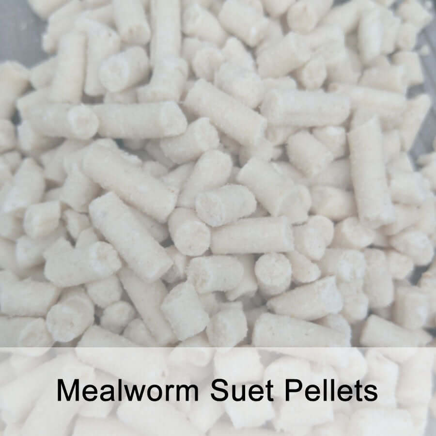 Suet Pellet Flavour Trial Pack - Haith's