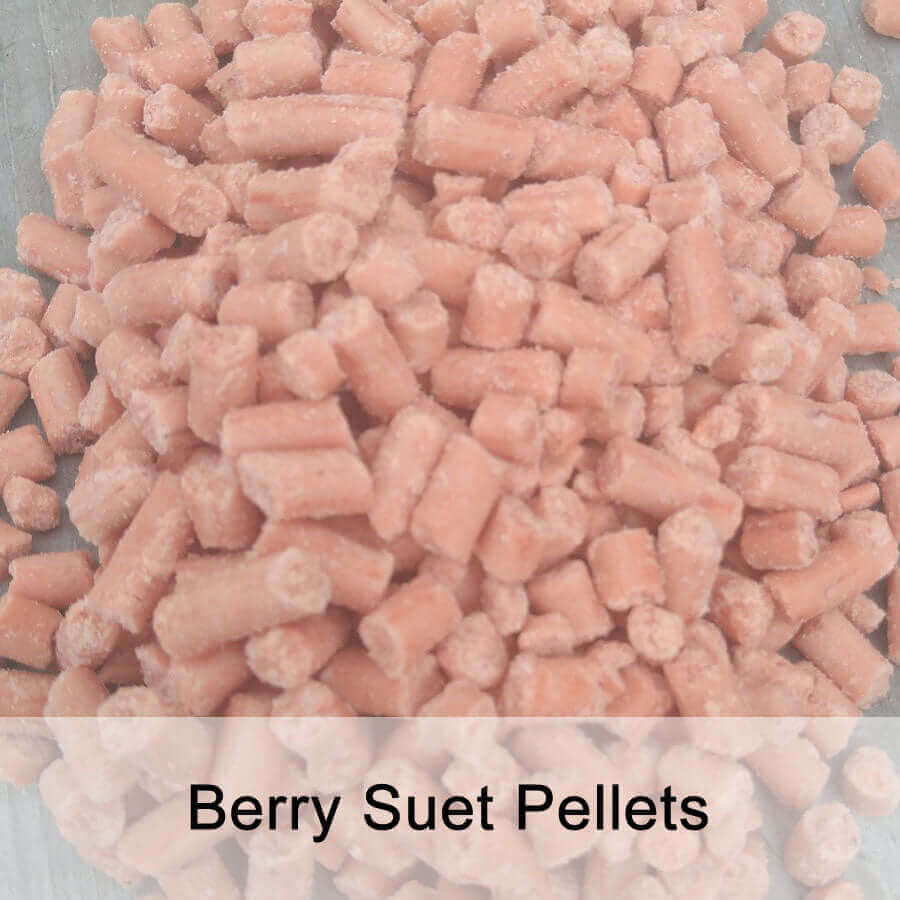 Suet Pellet Flavour Trial Pack - Haith's