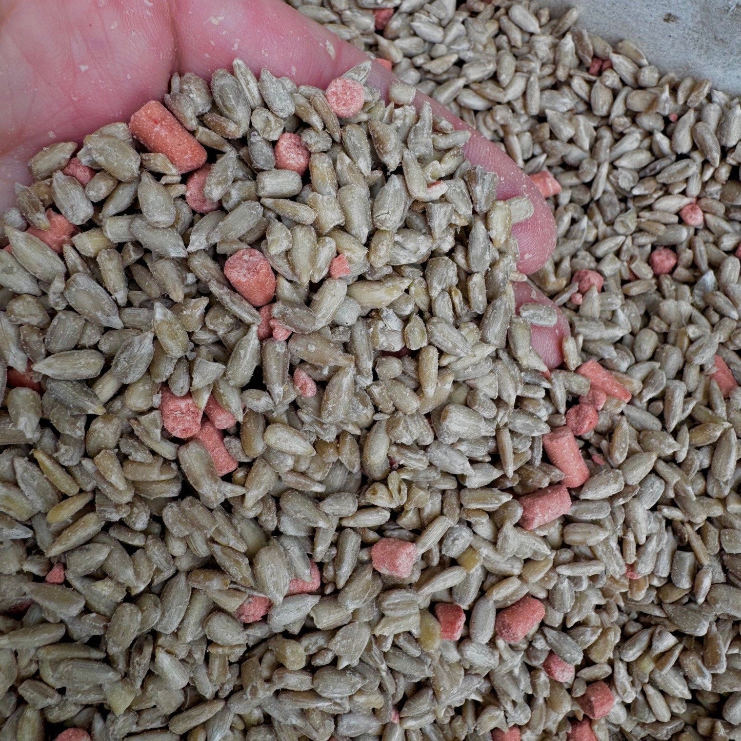 SunBerry Mix - Haith's UK