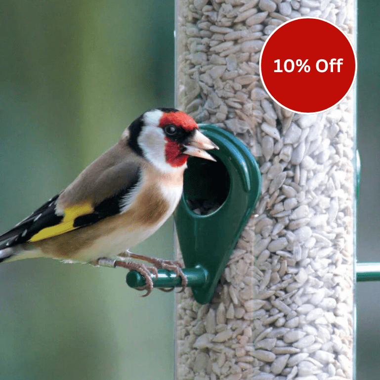 Sunflower Hearts - Premium Quality - Haith's UK