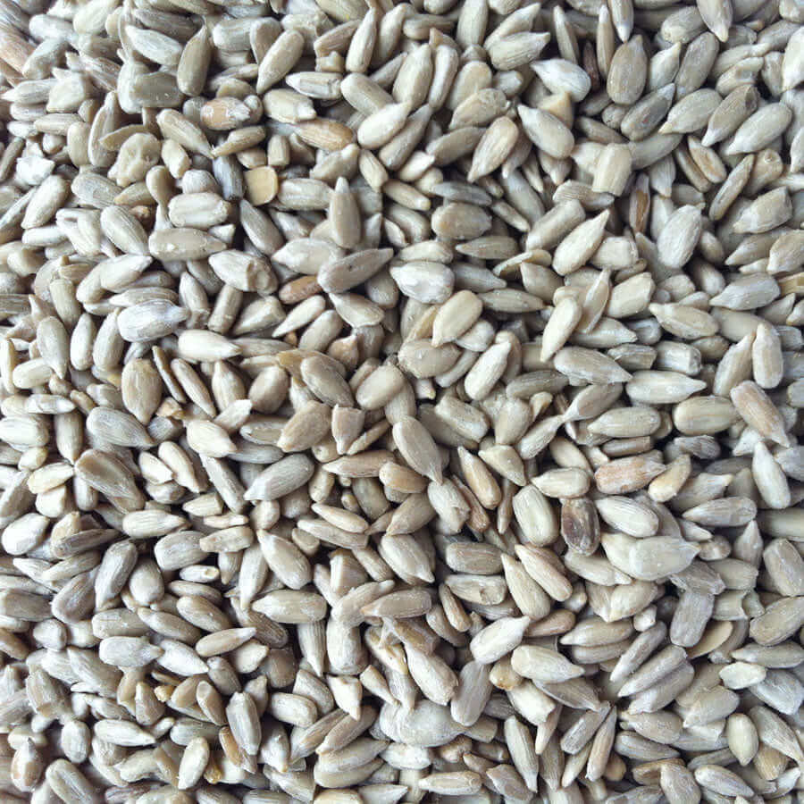 Sunflower Hearts (Premium Quality) for cage birds - Haith's