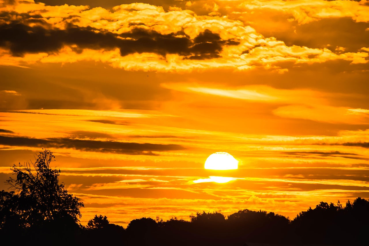 Sunrise with orange clouds and silhouette of trees