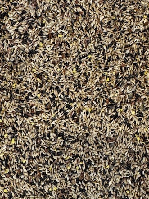 Glossy seed mix for canaries. 