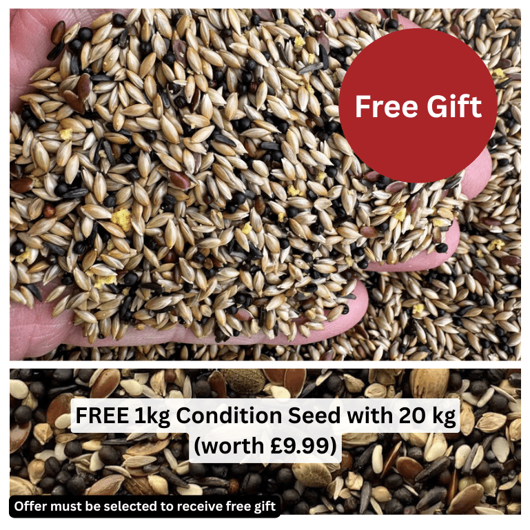 Super Canary Seed – With Yellow Biscuit (1.2%) - Haith's UK