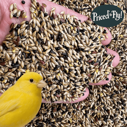 Super Canary Seed – With Yellow Biscuit (1.2%) - Haith's UK