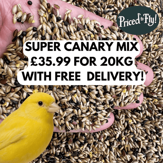 Super Canary Seed – With Yellow Biscuit (1.2%) - Haith's UK