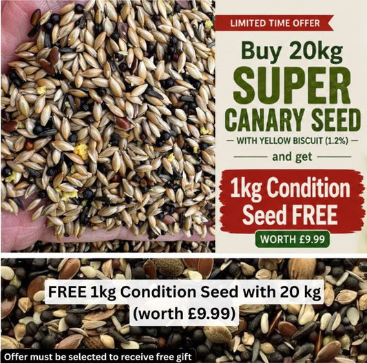 Super Canary Seed – With Yellow Biscuit (1.2%) - Haith's UK