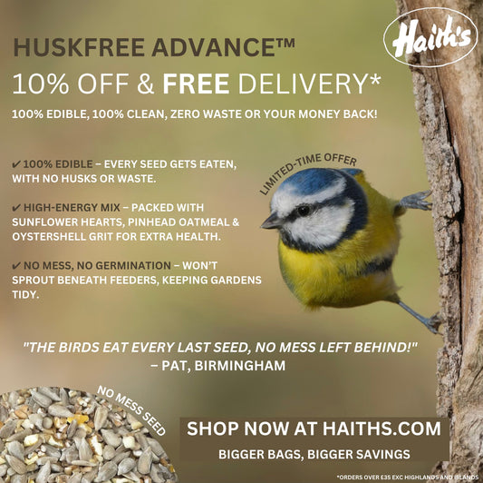 Huskfree Advance™ - No Mess Wild Bird Food