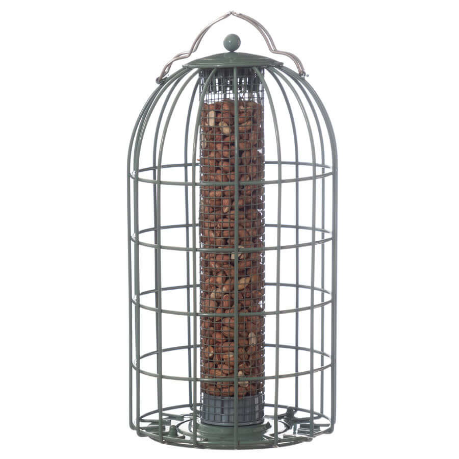 The Nuttery Squirrel - Resistant Peanut Bird Feeder - Haith's