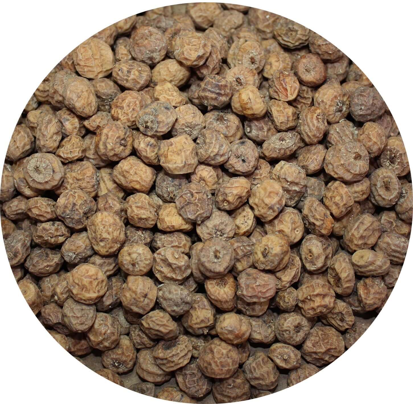 Tiger Nuts for fishing - Haith's