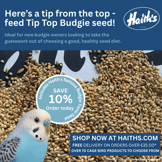 Tip Top Budgie Seed with Budgie Tonic - Haith's