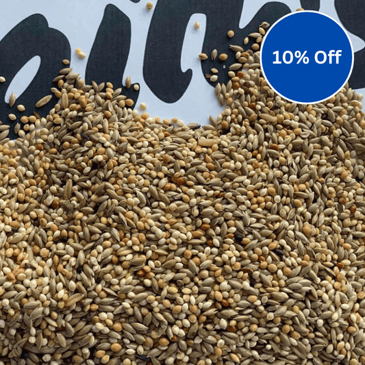 Tip Top Budgie Seed with Budgie Tonic - Haith's UK