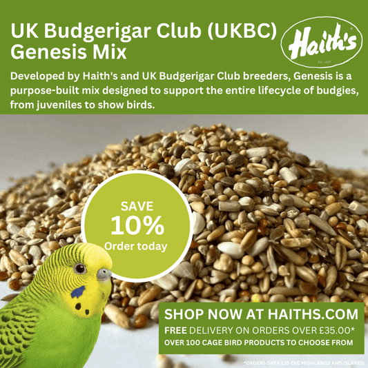 UK Budgerigar Club (UKBC) Genesis Mix - Haith's UK
