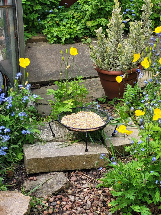 Universal Ground Feeder (small) - Haith's UK