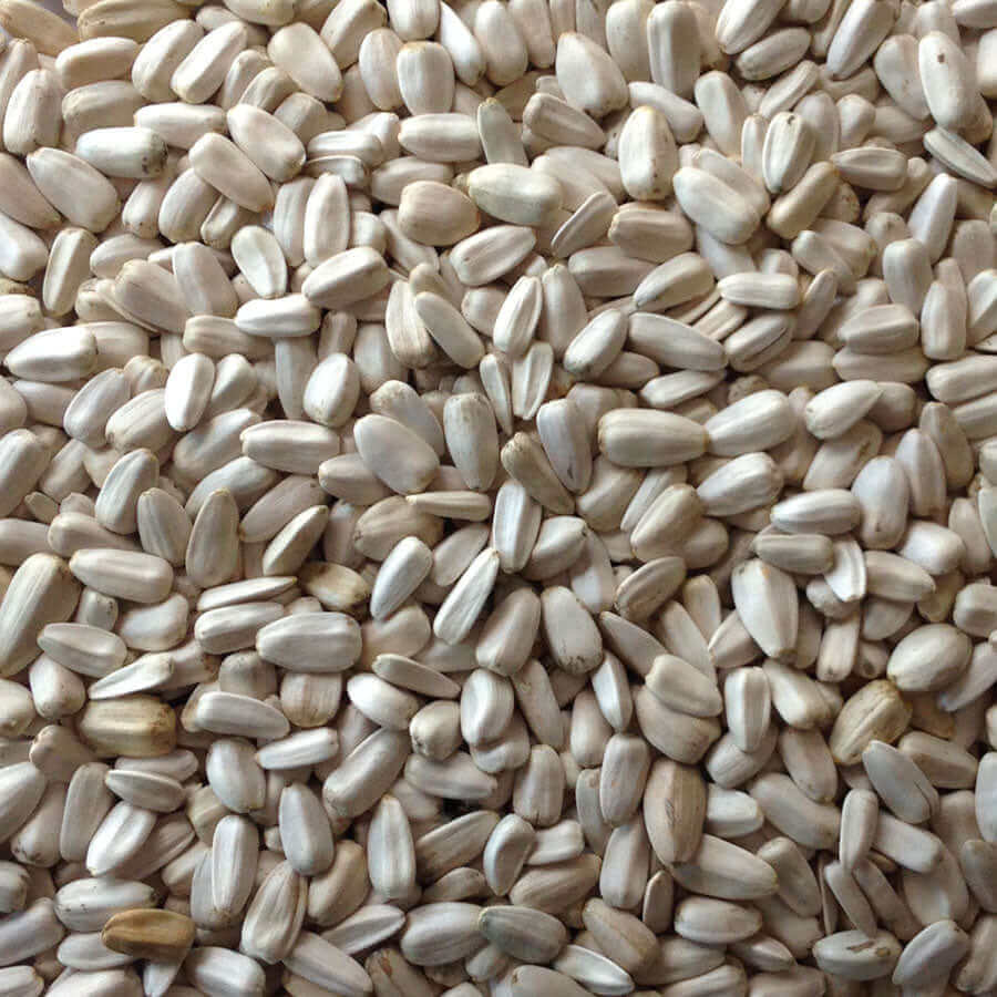 White Sunflower Seed for cage birds - Haith's