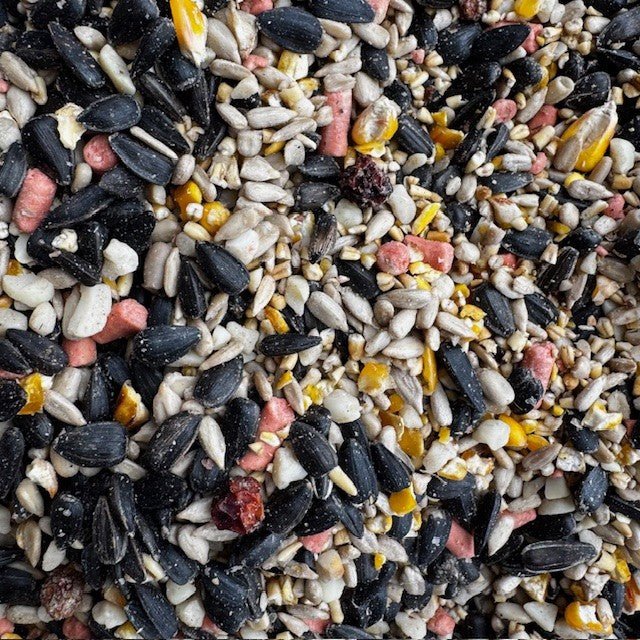 Winterberry™ - High - Energy Bird Seed - Haith's UK