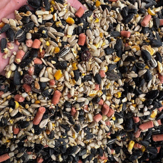 Winterberry™ - High - Energy Bird Seed - Haith's UK