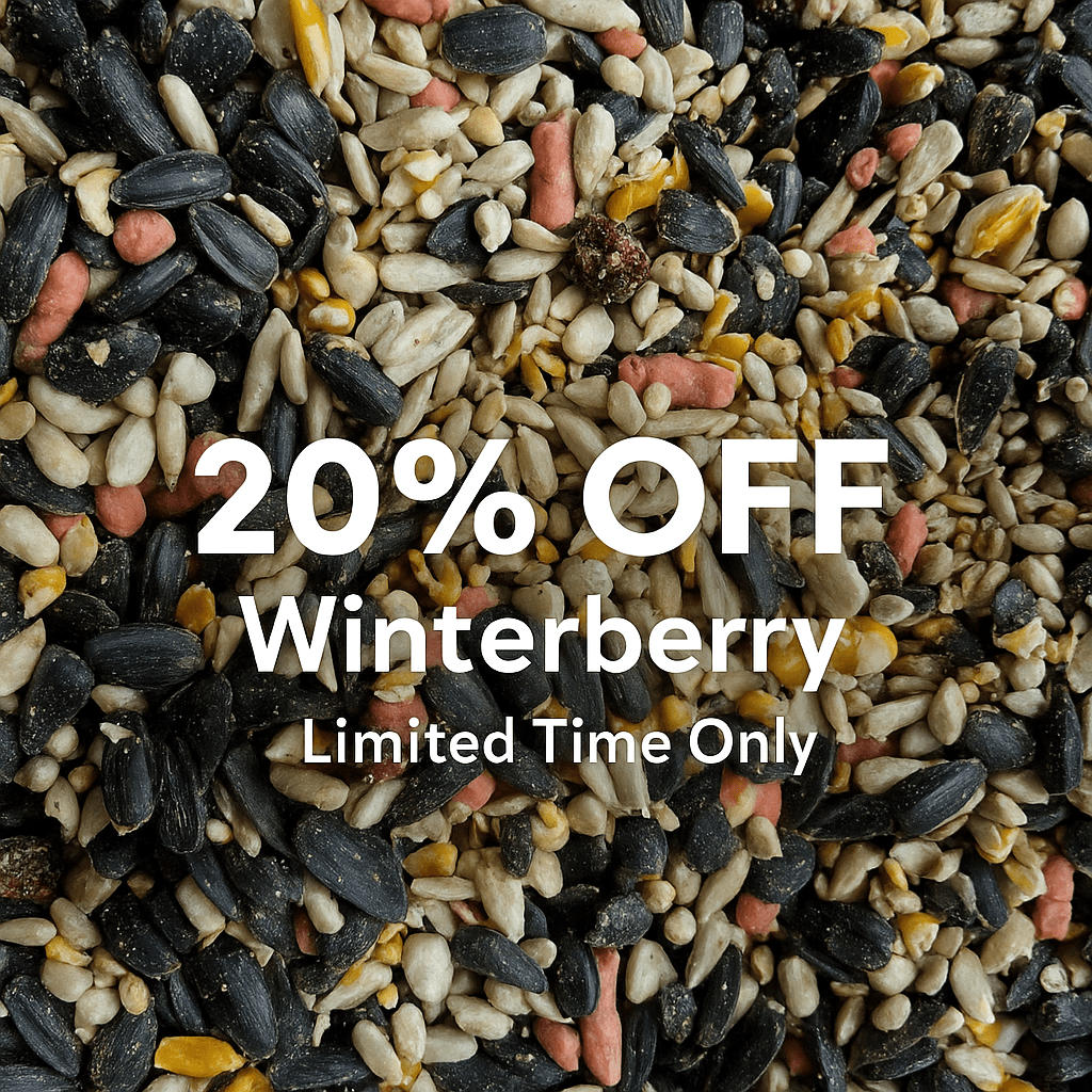 Winterberry™ – High - Energy Winter Bird Seed with Rowan Berries - Haith's UK