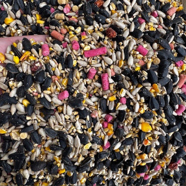Winterberry™ – High - Energy Winter Bird Seed with Rowan Berries - Haith's UK