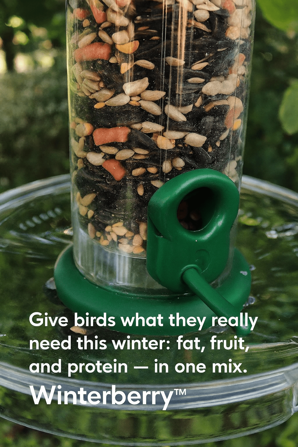 Winterberry™ – High - Energy Winter Bird Seed with Rowan Berries - Haith's UK