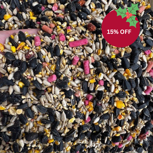 mix of seeds with logo