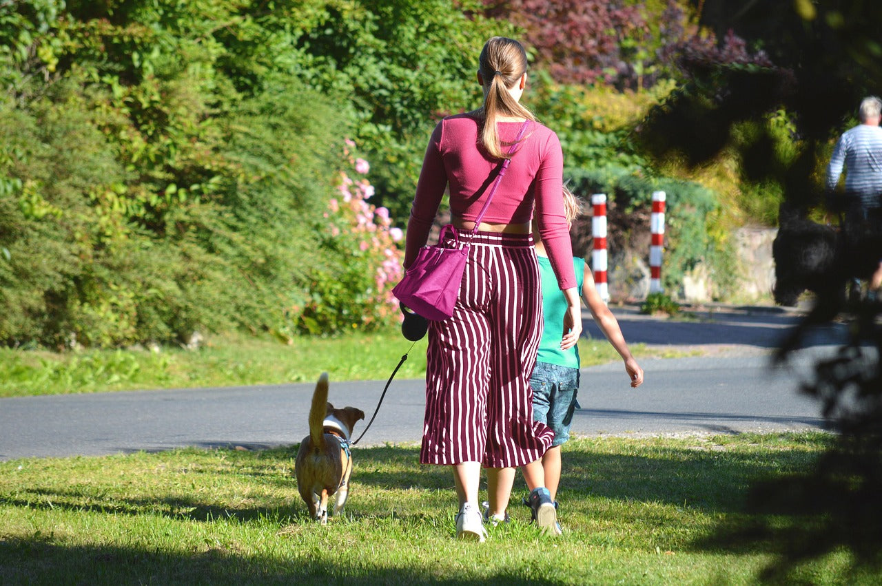 lady and dog walking with child in a park