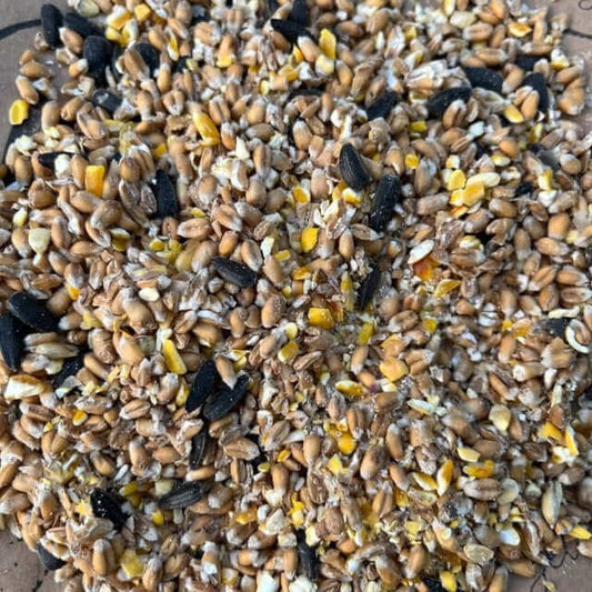 Basic budget garden bird food containing black sunflower and maize available from Haith's in bulk weights.