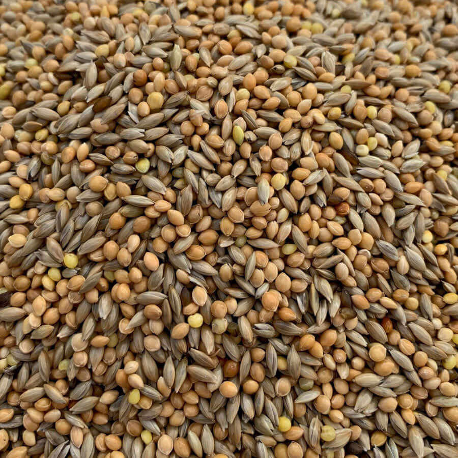 Budgie Breeders a super-clean blend of plain canary seed and Yellow Millet .