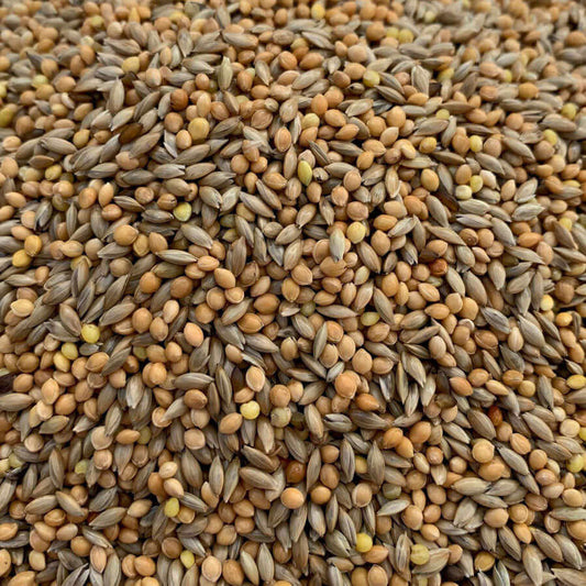 Budgie Breeders a super-clean blend of plain canary seed and Yellow Millet .