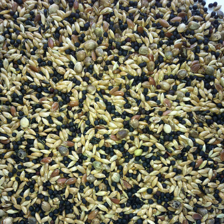 Haith's British Finch Mix is made exclusively from cultivated seeds, including Niger, Hemp, Black rape, Japanese Millet, Linseed, and Plain Canary.
