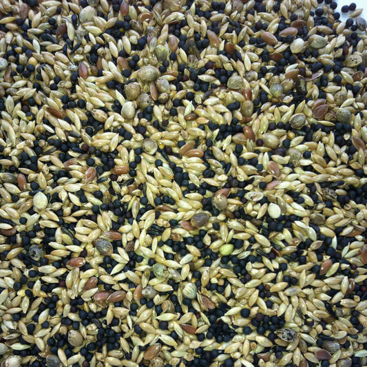 British Finch Mix is used by the leading breeders to keep their birds in top condition. Only cultivated seeds are used in this grand mixture, it contains no wild seeds!