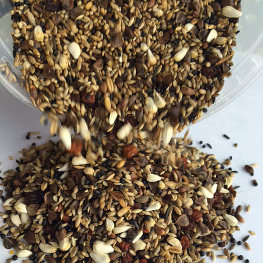 Haith's Bullfinch fix contains small pine nuts  In the wild, Bullfinches can be seen feeding on niger seed - which is why we include them in our mix. 