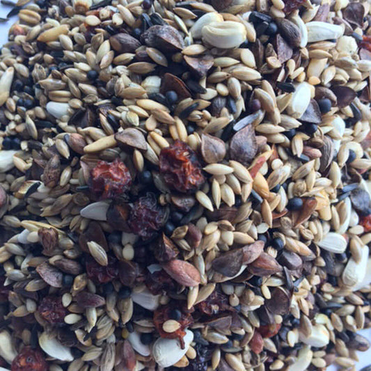 Bullfinch Mix offers a wonderful variety of Super-Clean seeds including Rowan Berries to make up a mix that's clean, healthy and nutritious.