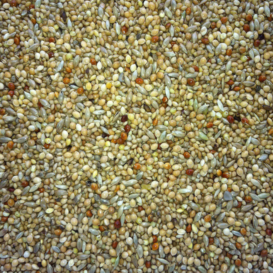 SuperClean daily diet for foreign finches, containing mixed millets.