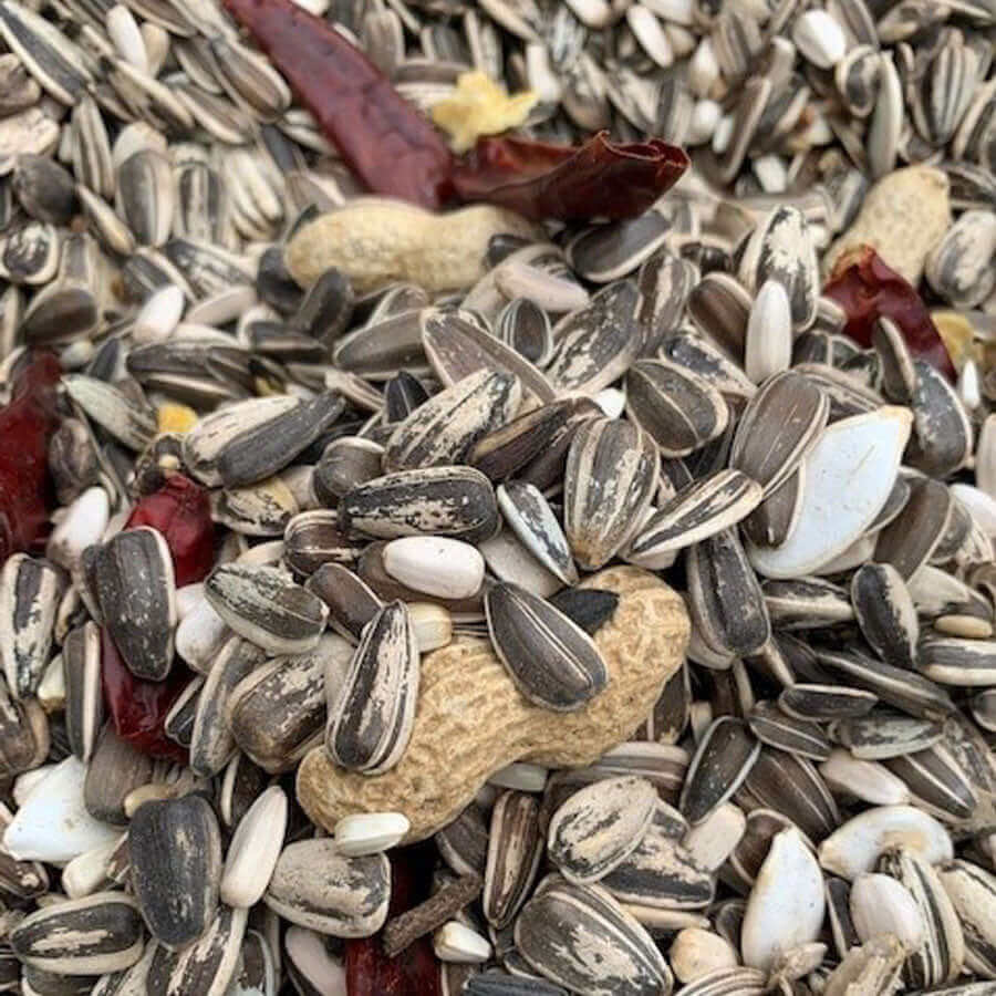 Superior Quality Parrot Food. Seed-eating Parrots and Parrot-Like birds are renowned for their highly selective feeding habits and have a tendency to take what they fancy and often reject beneficial seeds and foods. 
